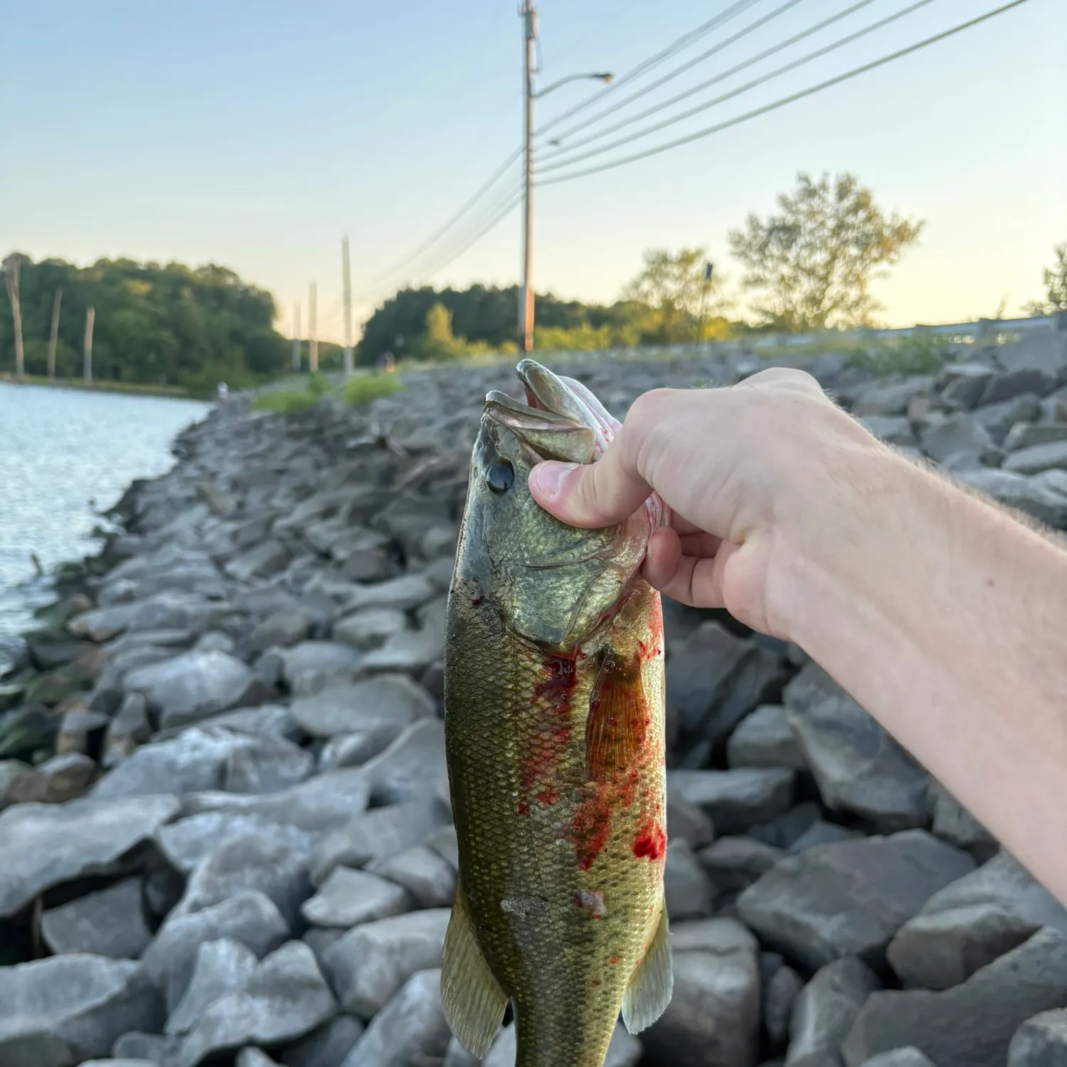 catch