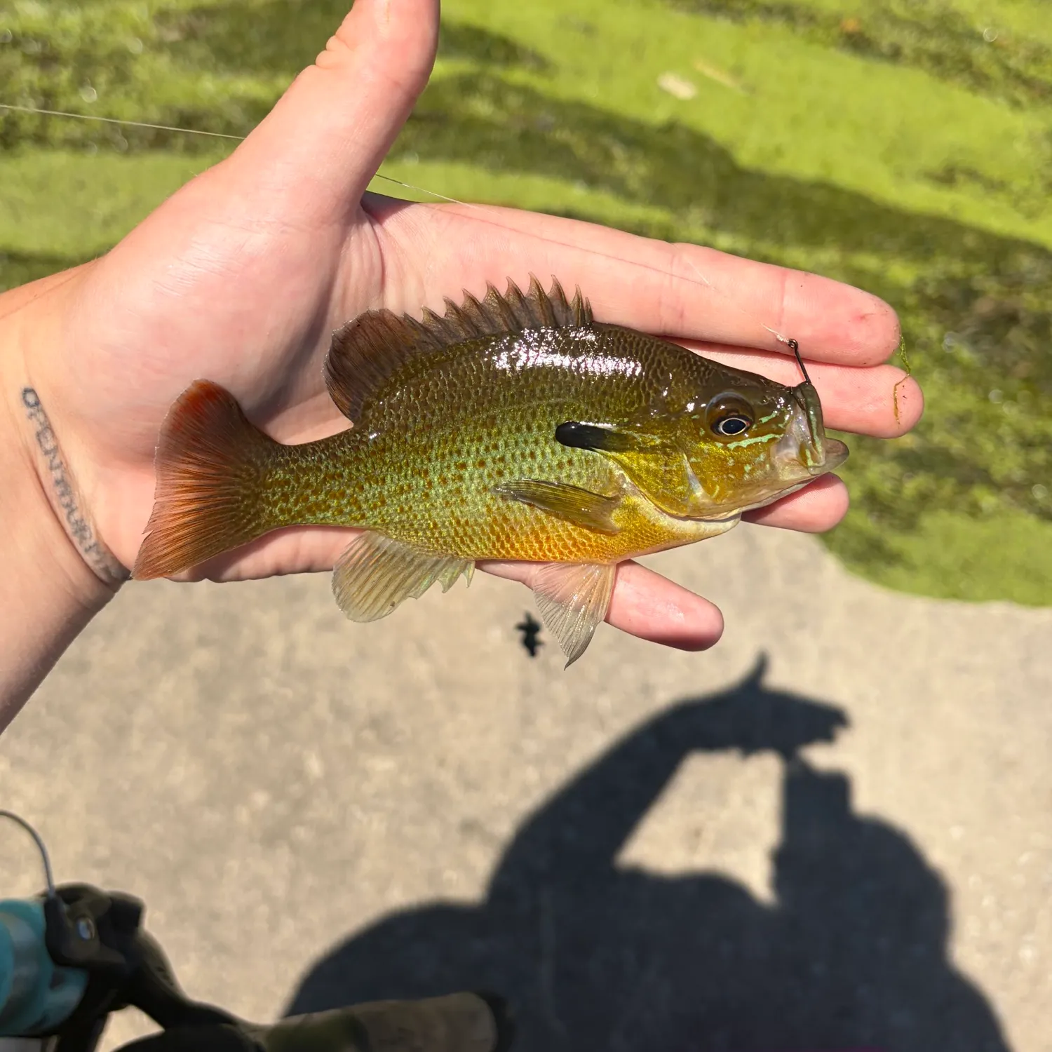 catch