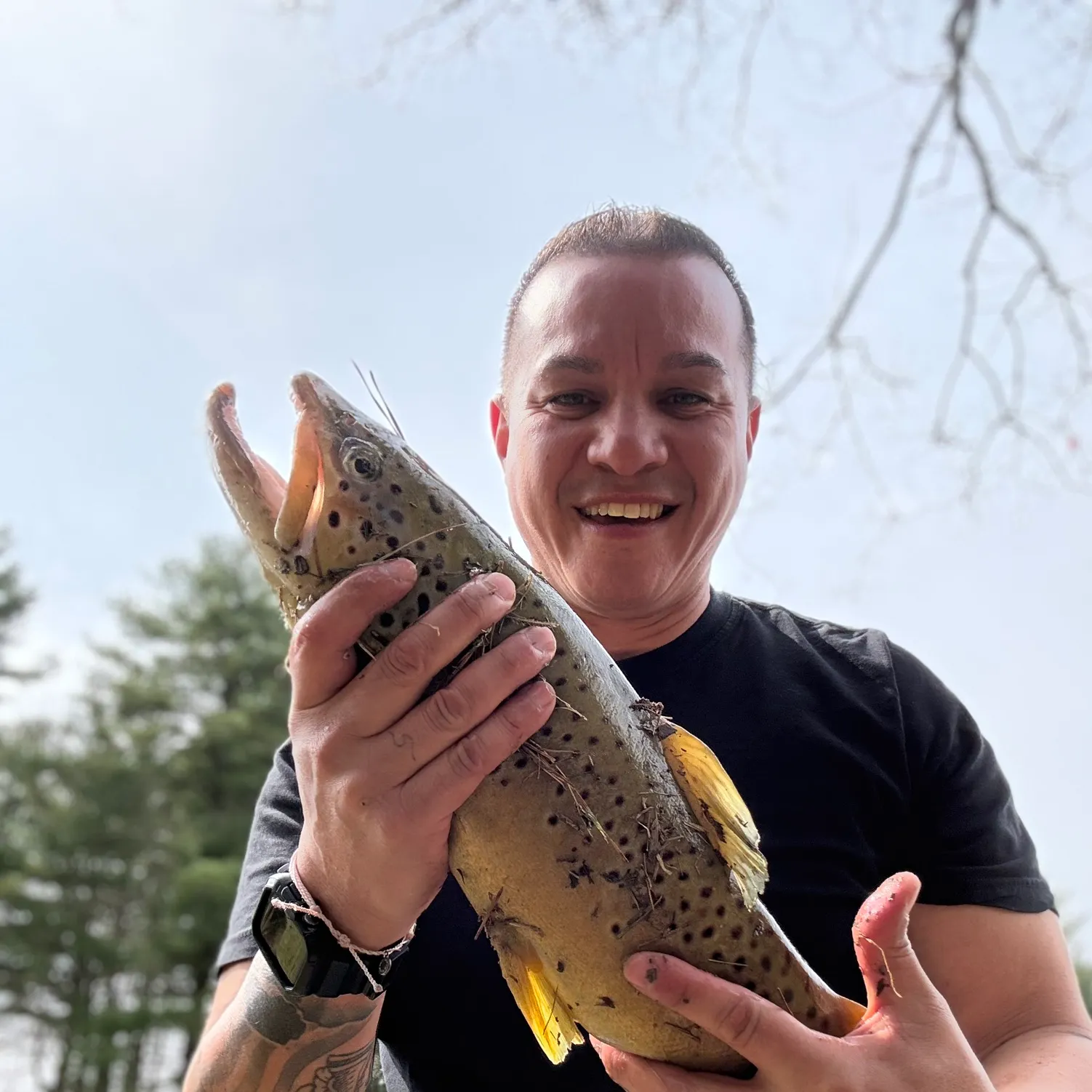 The most recent Brown trout catches on Fishbrain