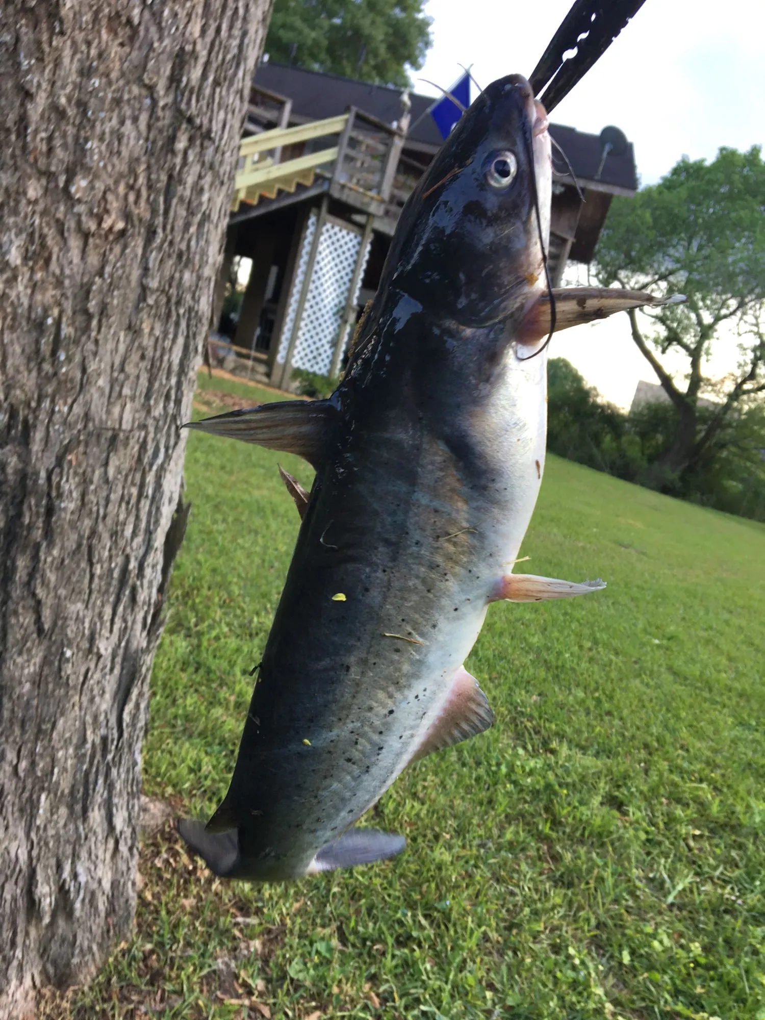 Post image from Brodypassman