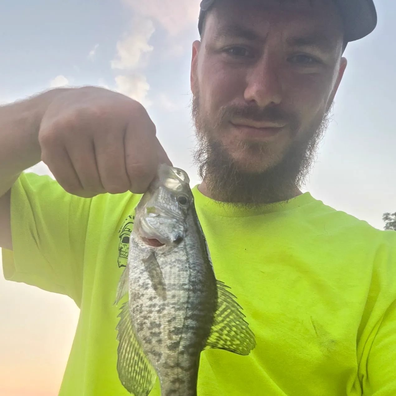 White crappie caught on Fishbrain