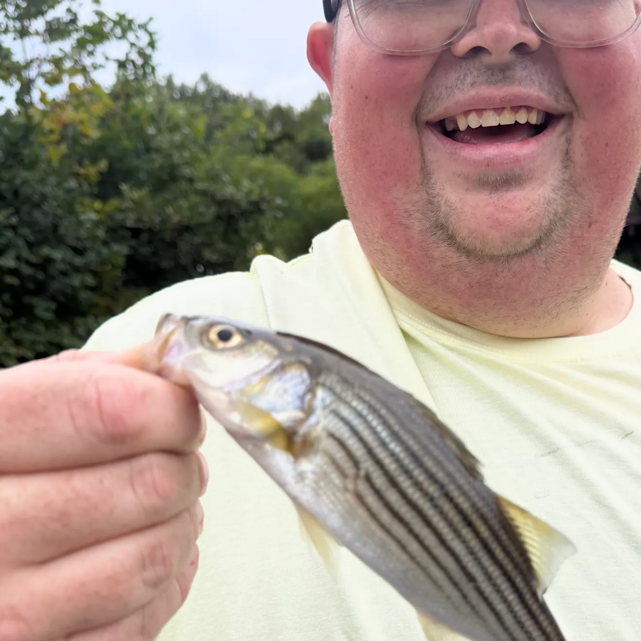 Striped bass caught on Fishbrain