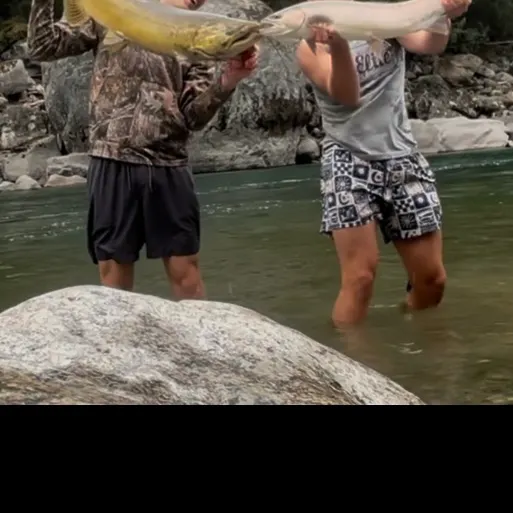 Steelhead caught on Fishbrain