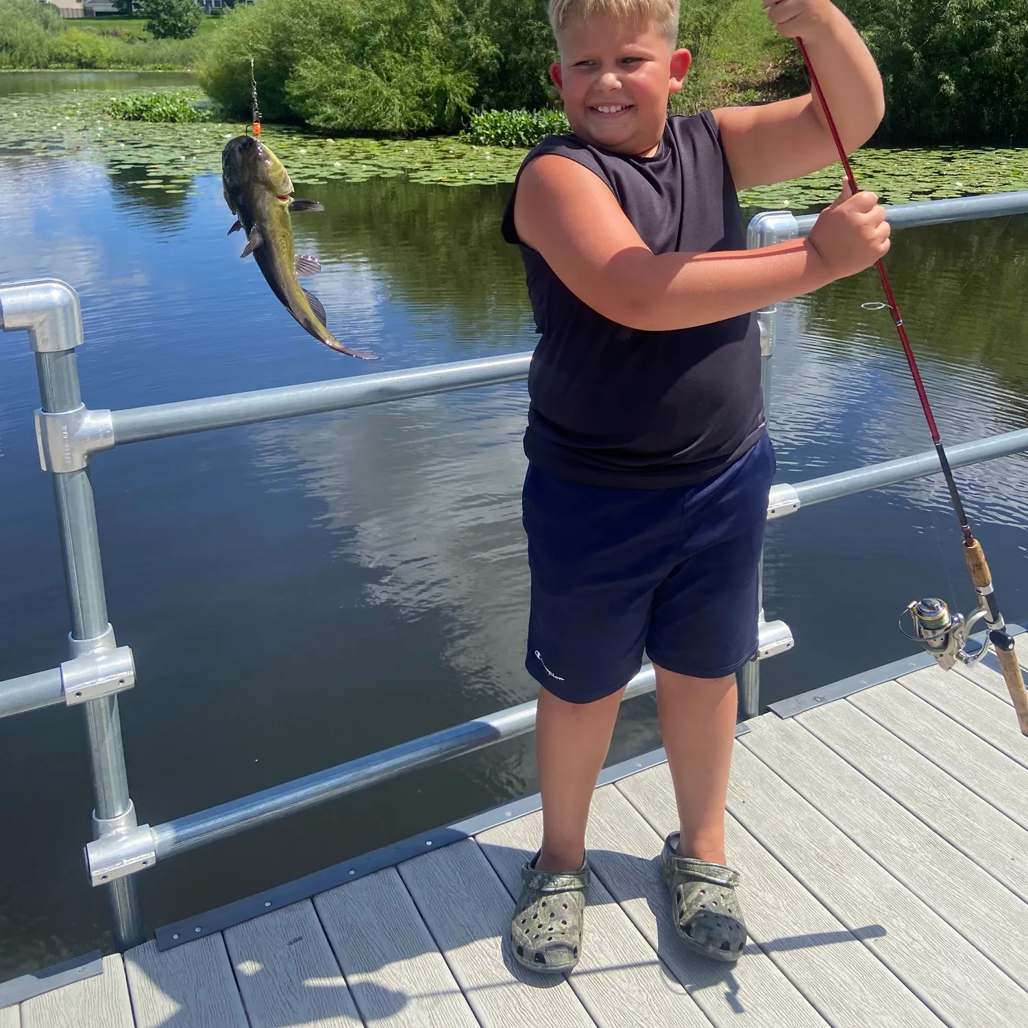Yellow bullhead caught on Fishbrain
