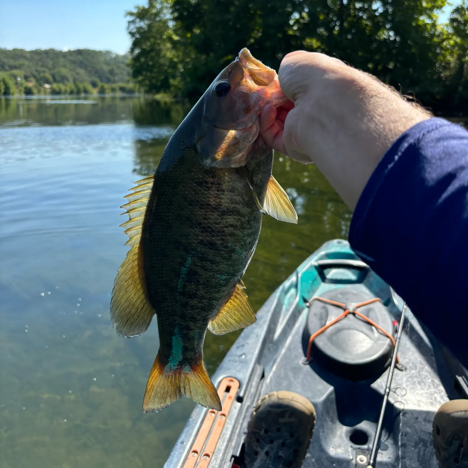 angler catch