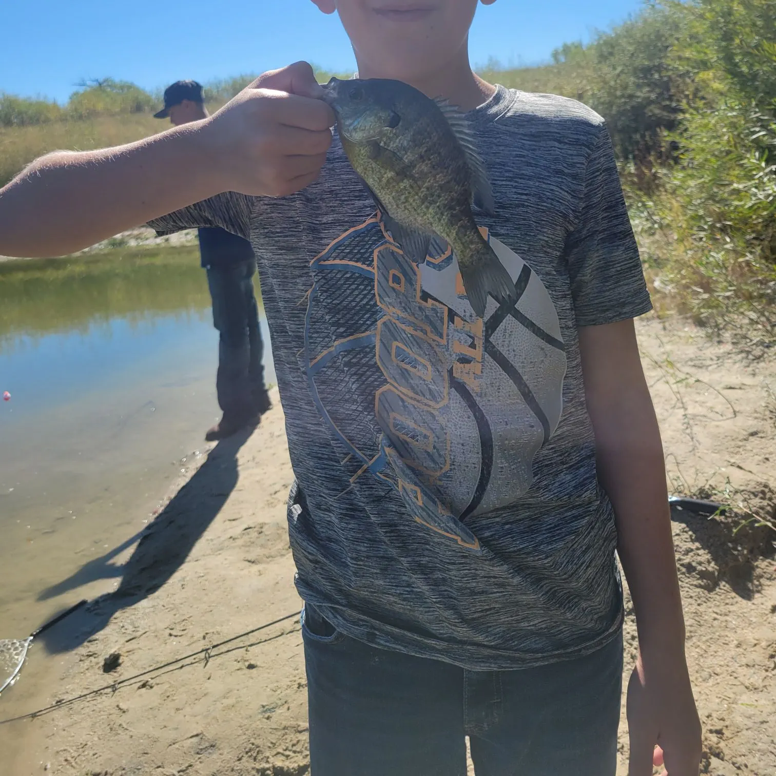 Bluegill caught on Fishbrain