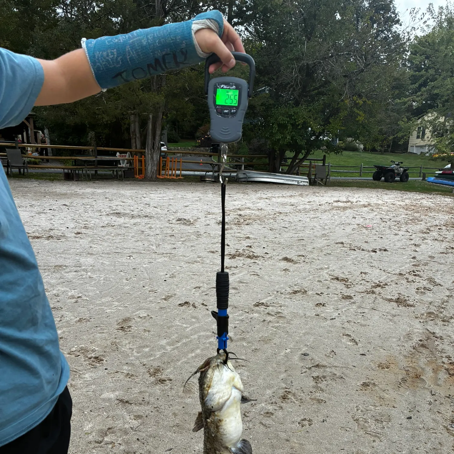 Brown bullhead caught on Fishbrain