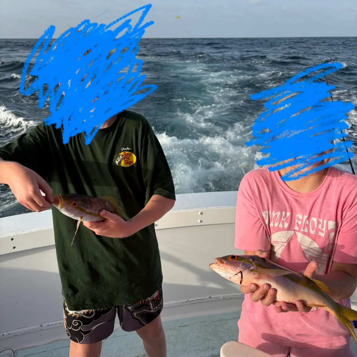 The most recent Yellowtail snapper catches on Fishbrain