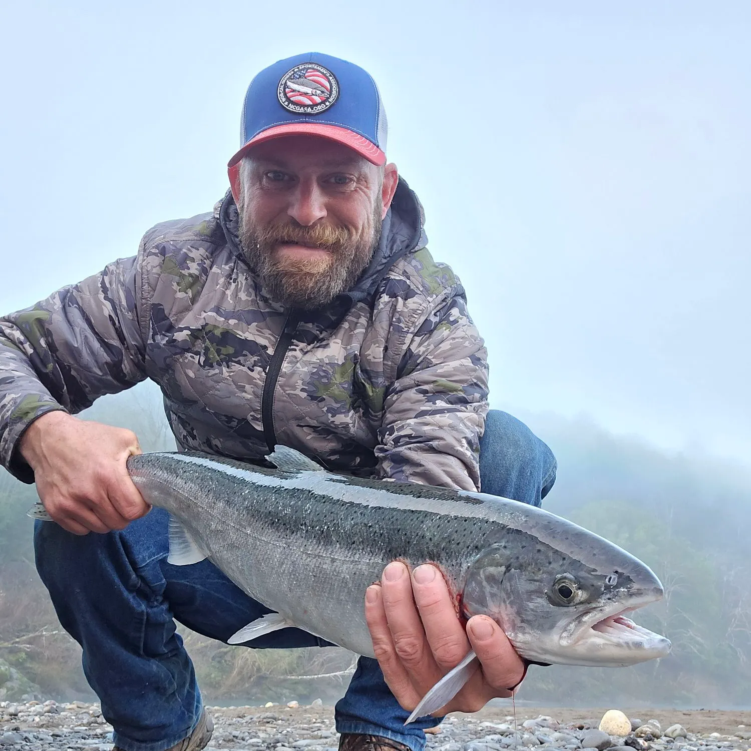 The most recent Steelhead catches on Fishbrain