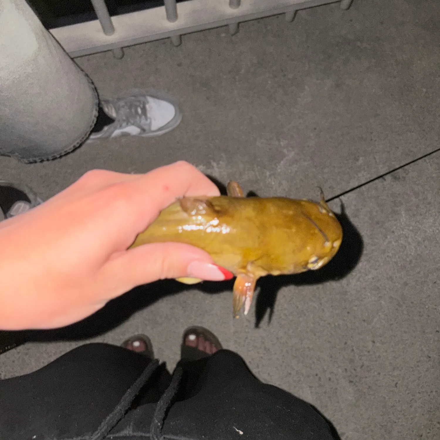 catch
