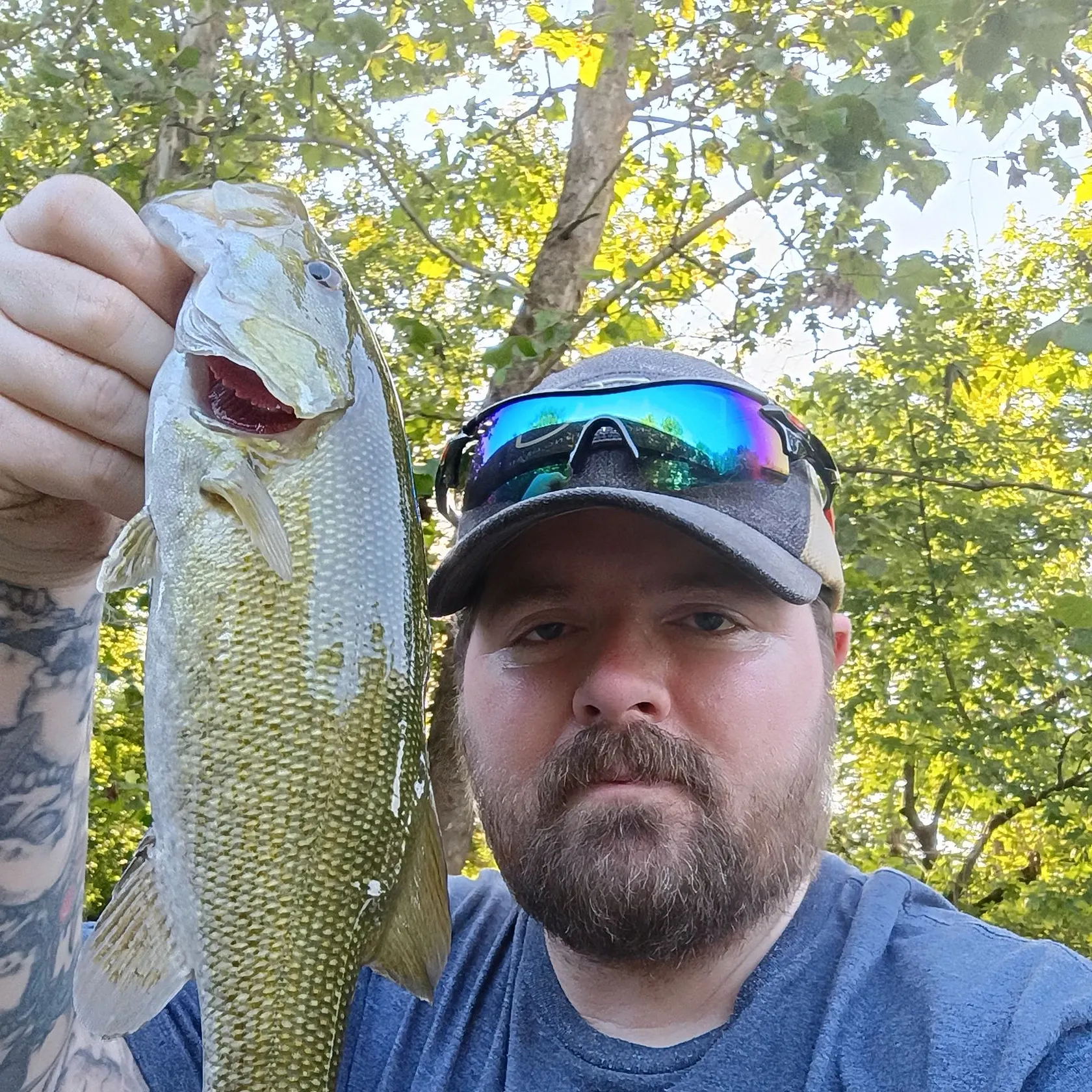 Smallmouth bass caught on Fishbrain