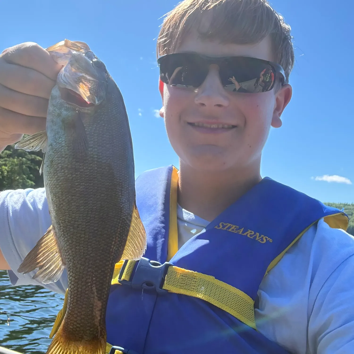 Smallmouth bass caught on Fishbrain