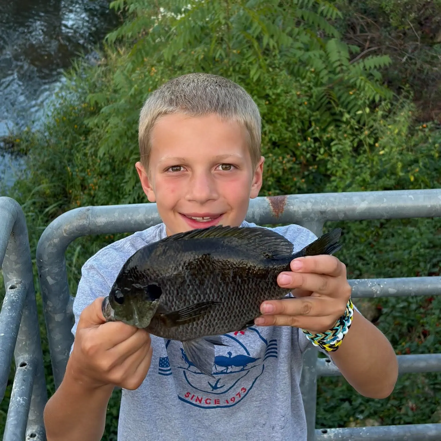 Bluegill caught on Fishbrain