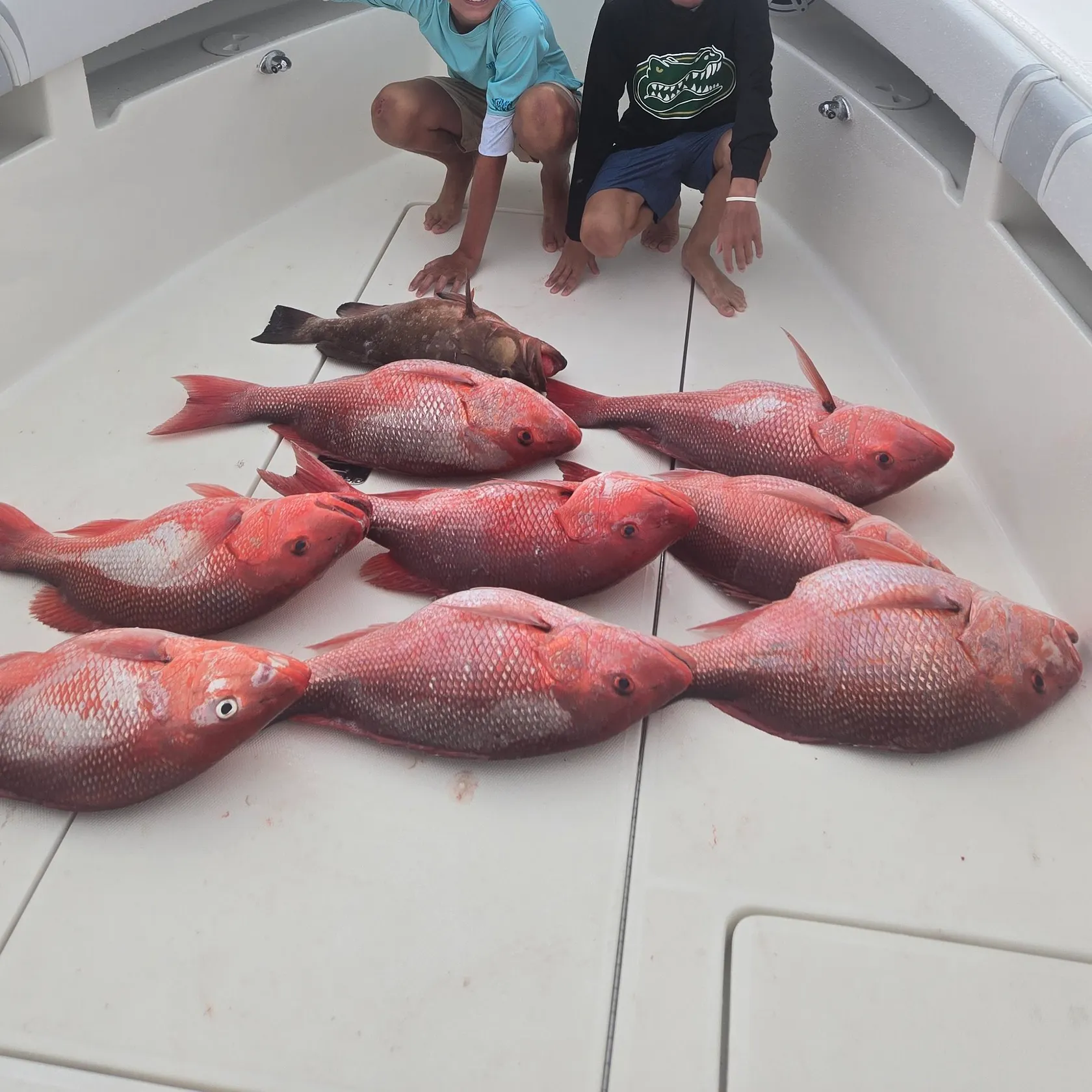 The most recent Northern red snapper catches on Fishbrain