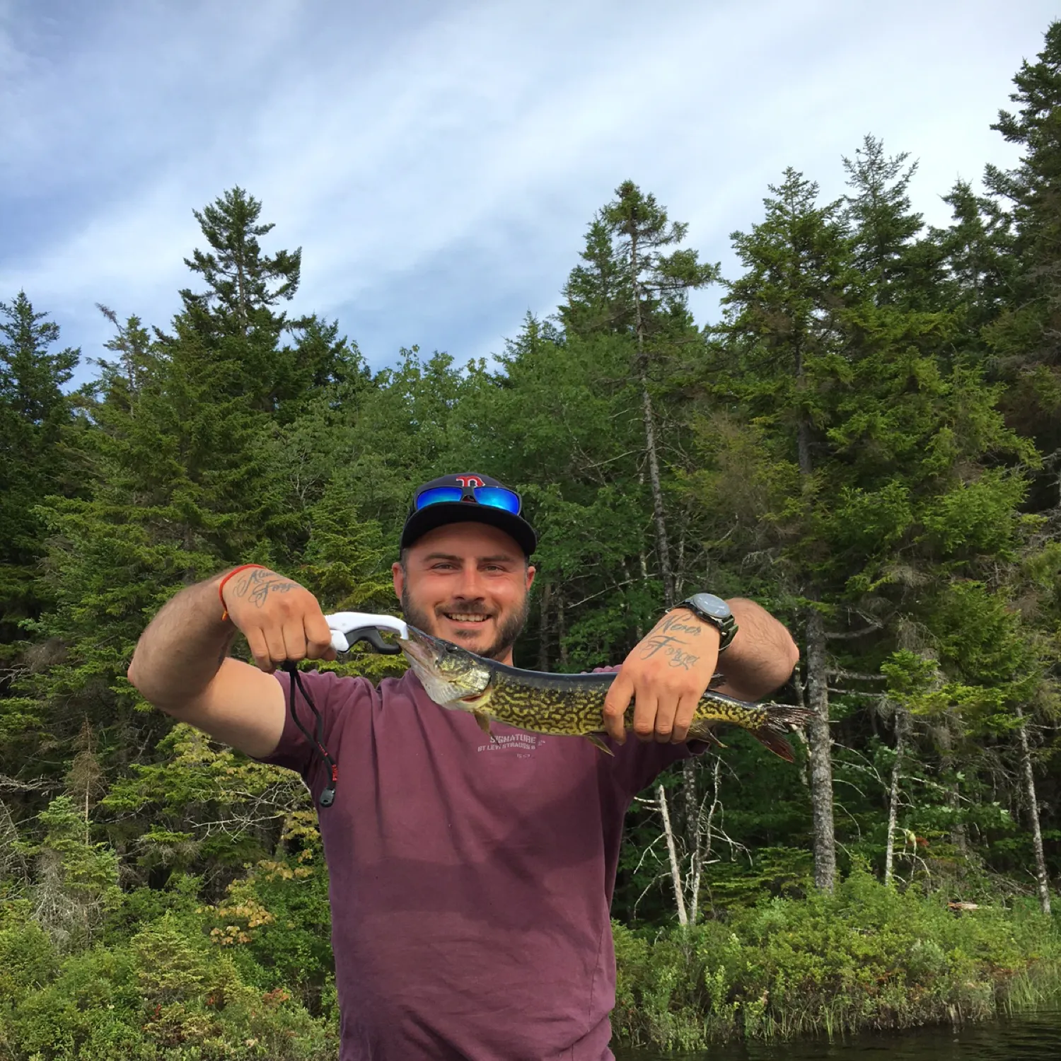 recently logged catches