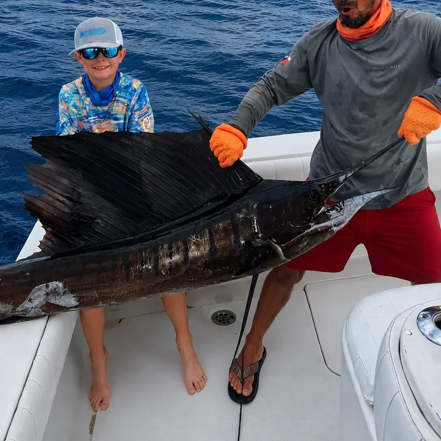 The most recent Indo-Pacific sailfish catches on Fishbrain