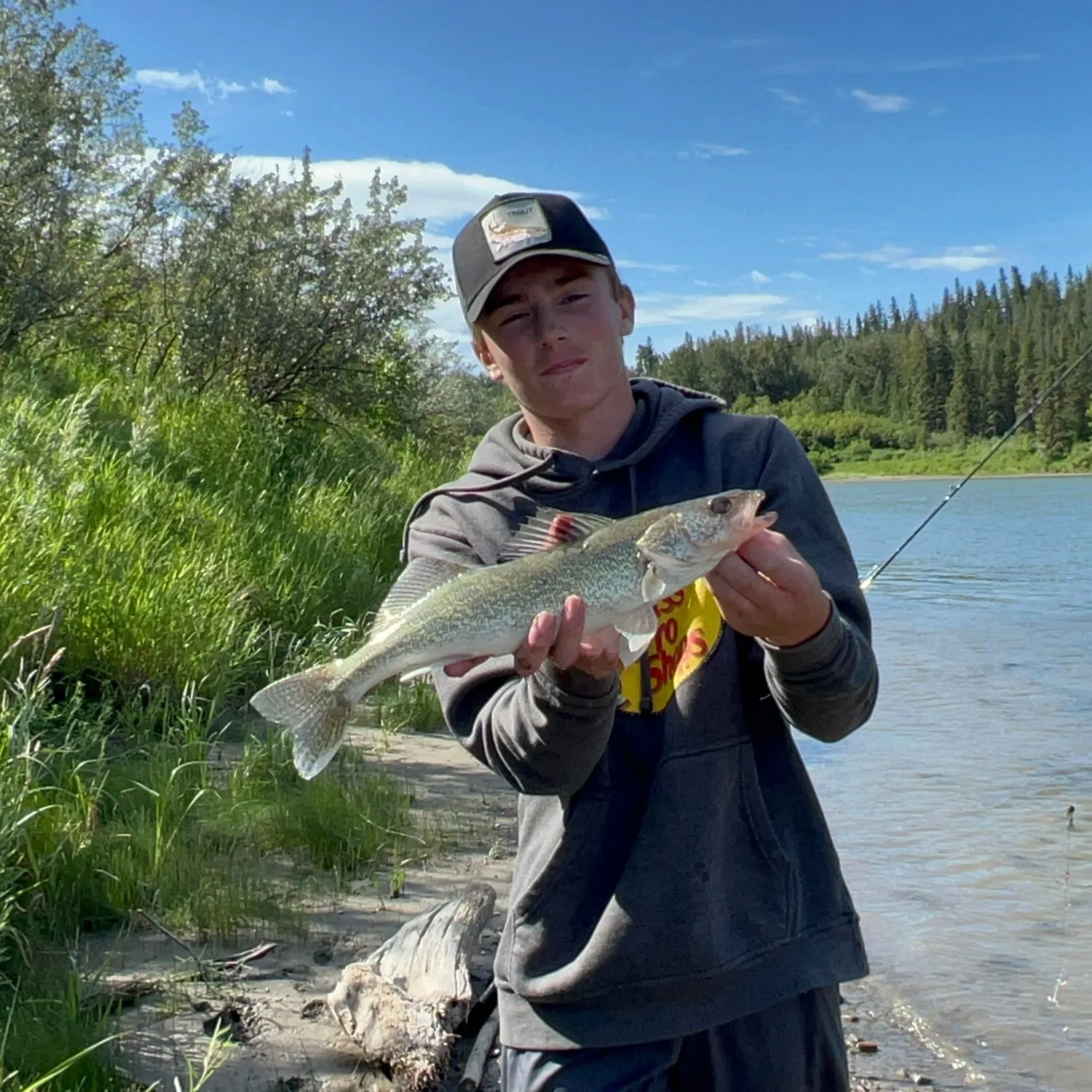 The most recent Walleye catches on Fishbrain