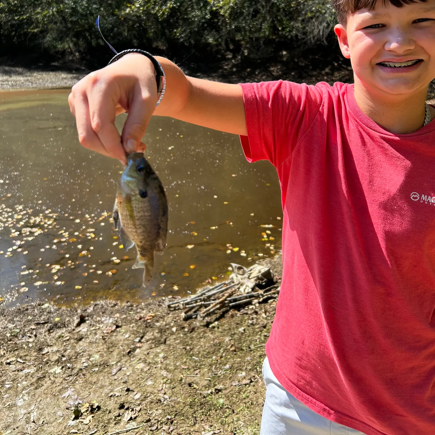 The most recent Crevalle jack catches on Fishbrain