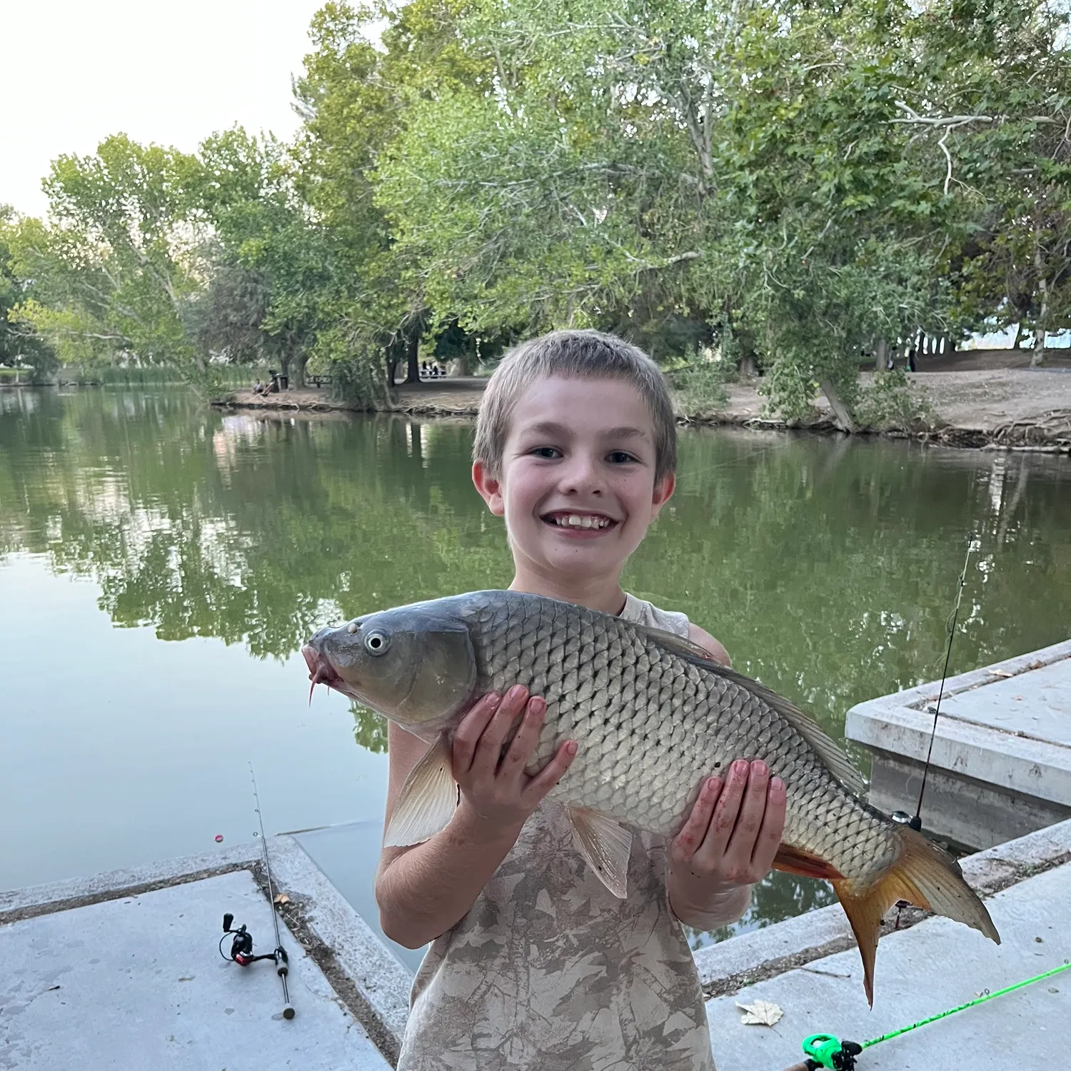 Common carp caught on Fishbrain
