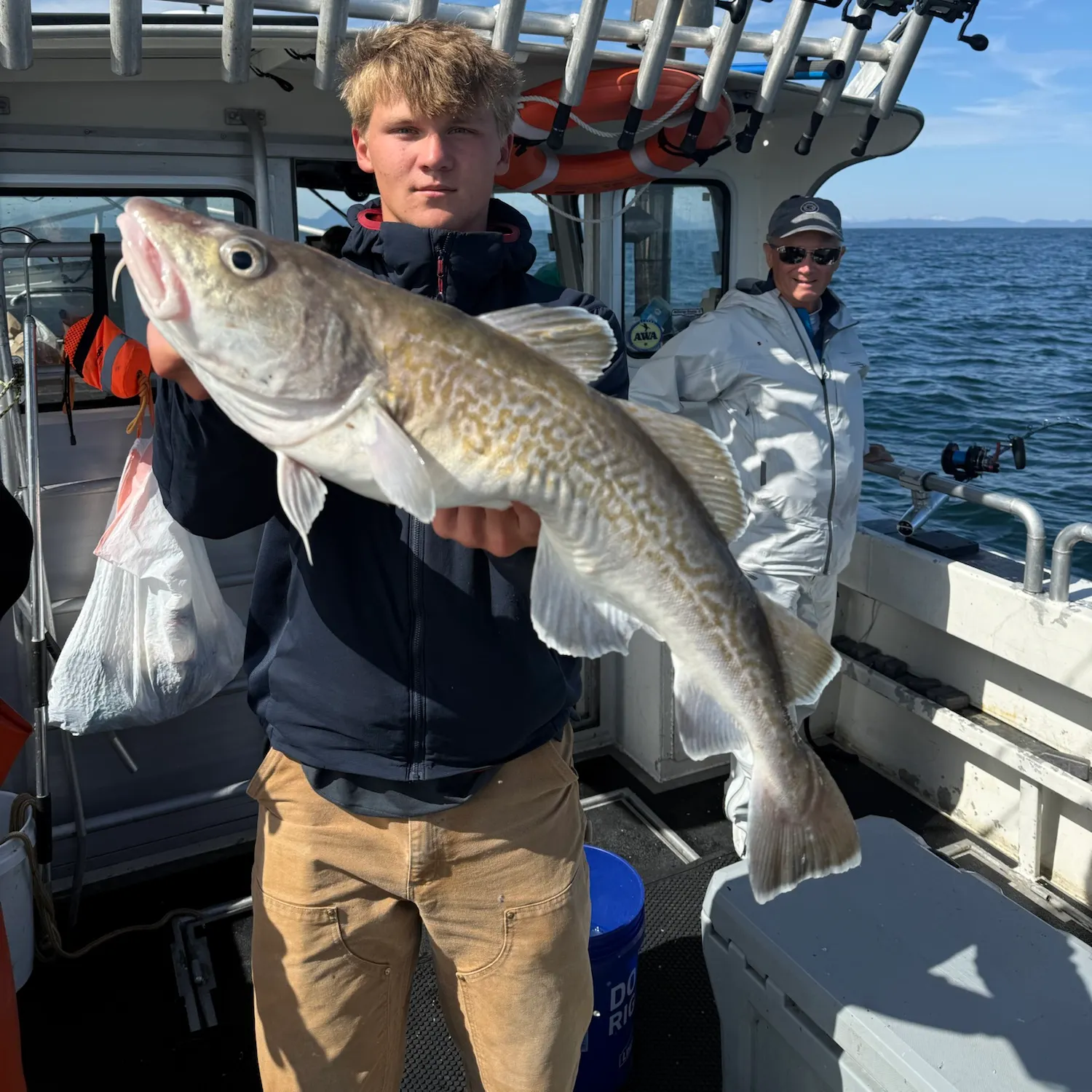 The most recent Pacific cod catches on Fishbrain