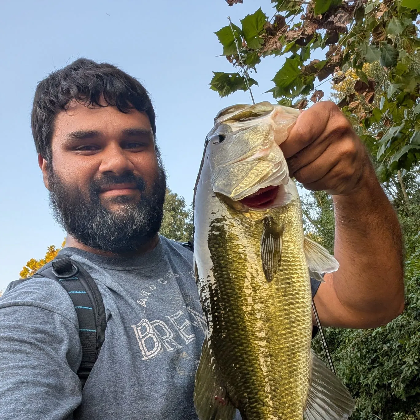Largemouth bass caught on Fishbrain