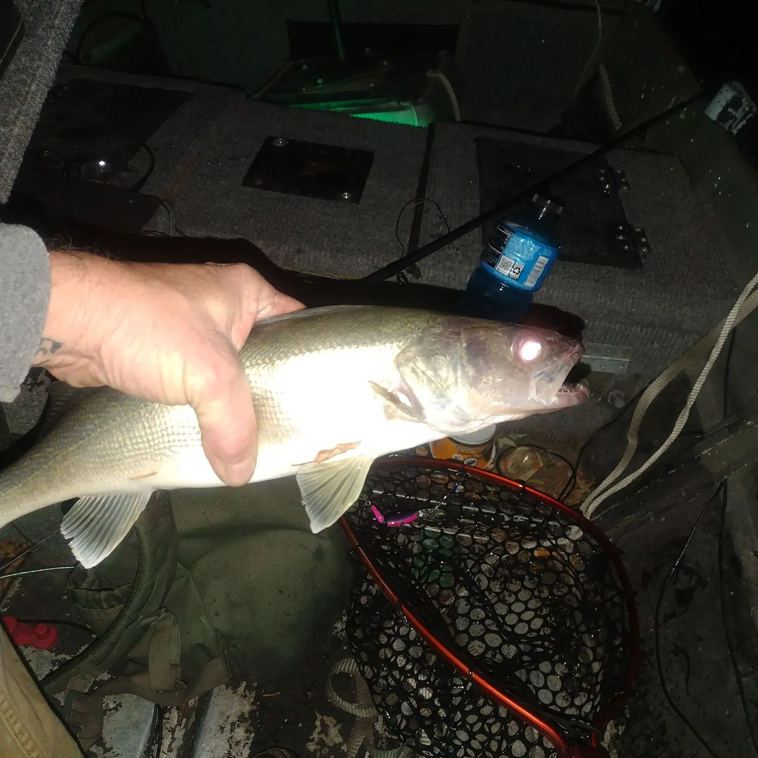Walleye caught on Fishbrain