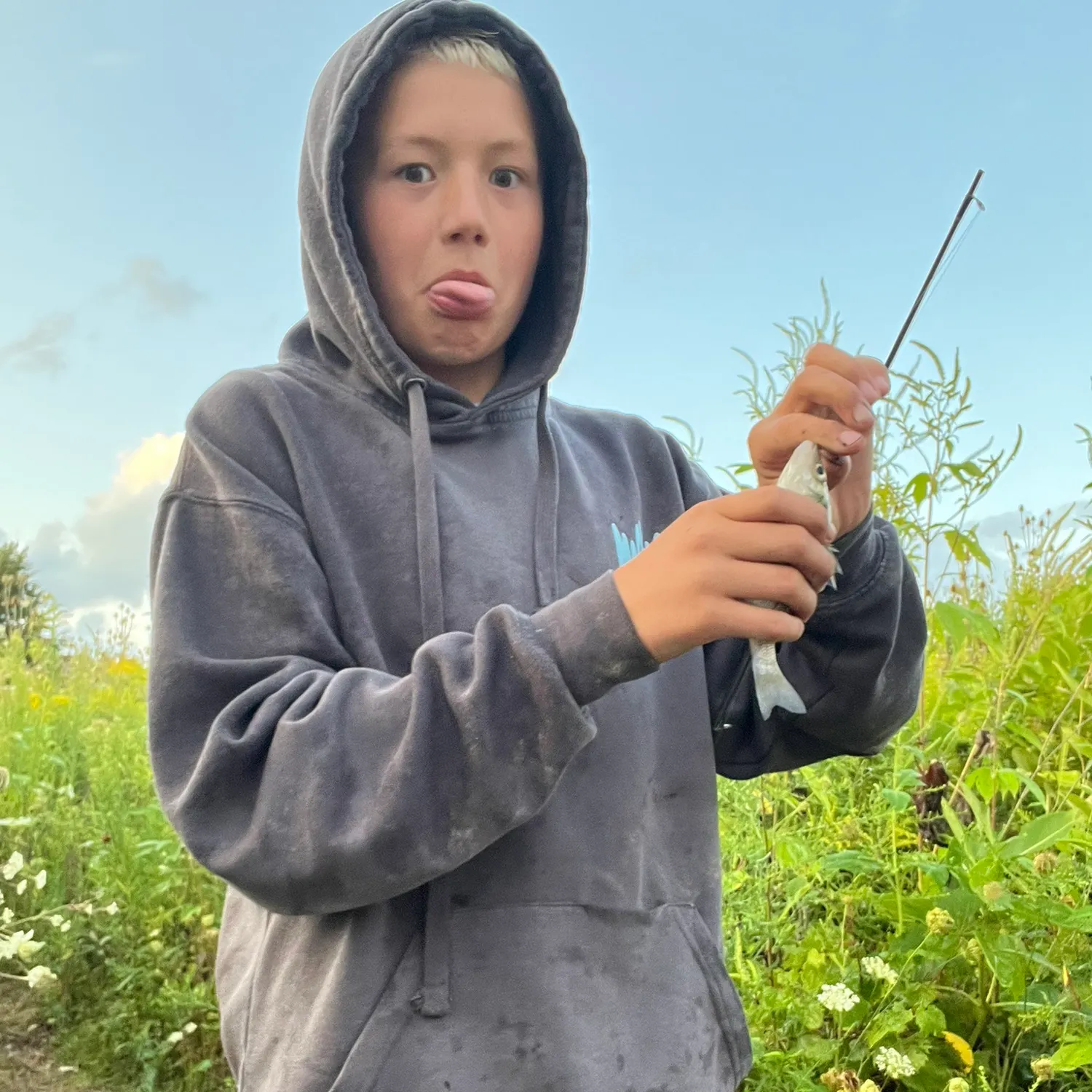 White perch caught on Fishbrain