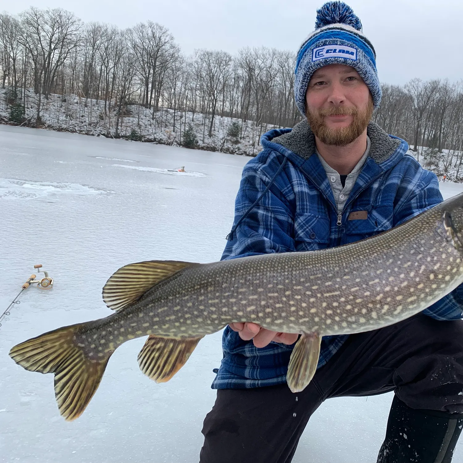 Northern pike caught on Fishbrain