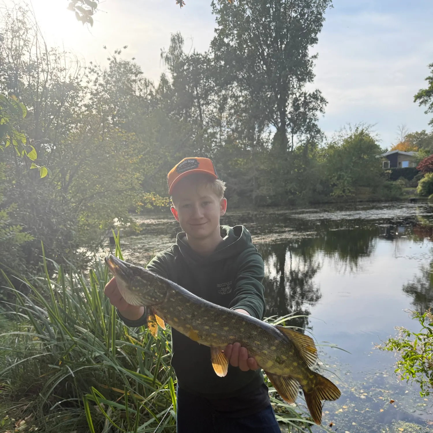Northern pike caught on Fishbrain
