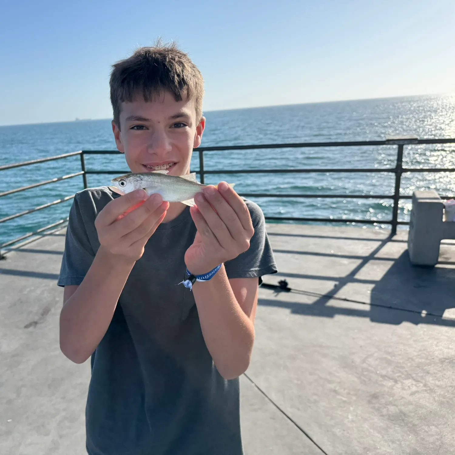 The most recent Pacific jack mackerel catches on Fishbrain