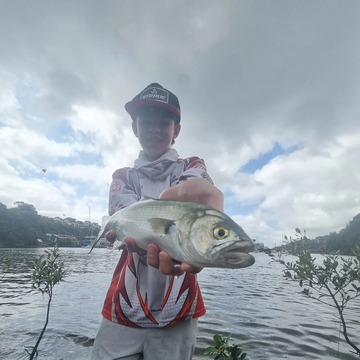 The most recent Bluefish catches on Fishbrain