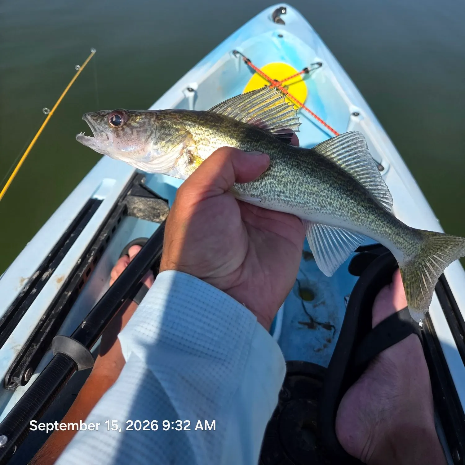 Walleye caught on Fishbrain