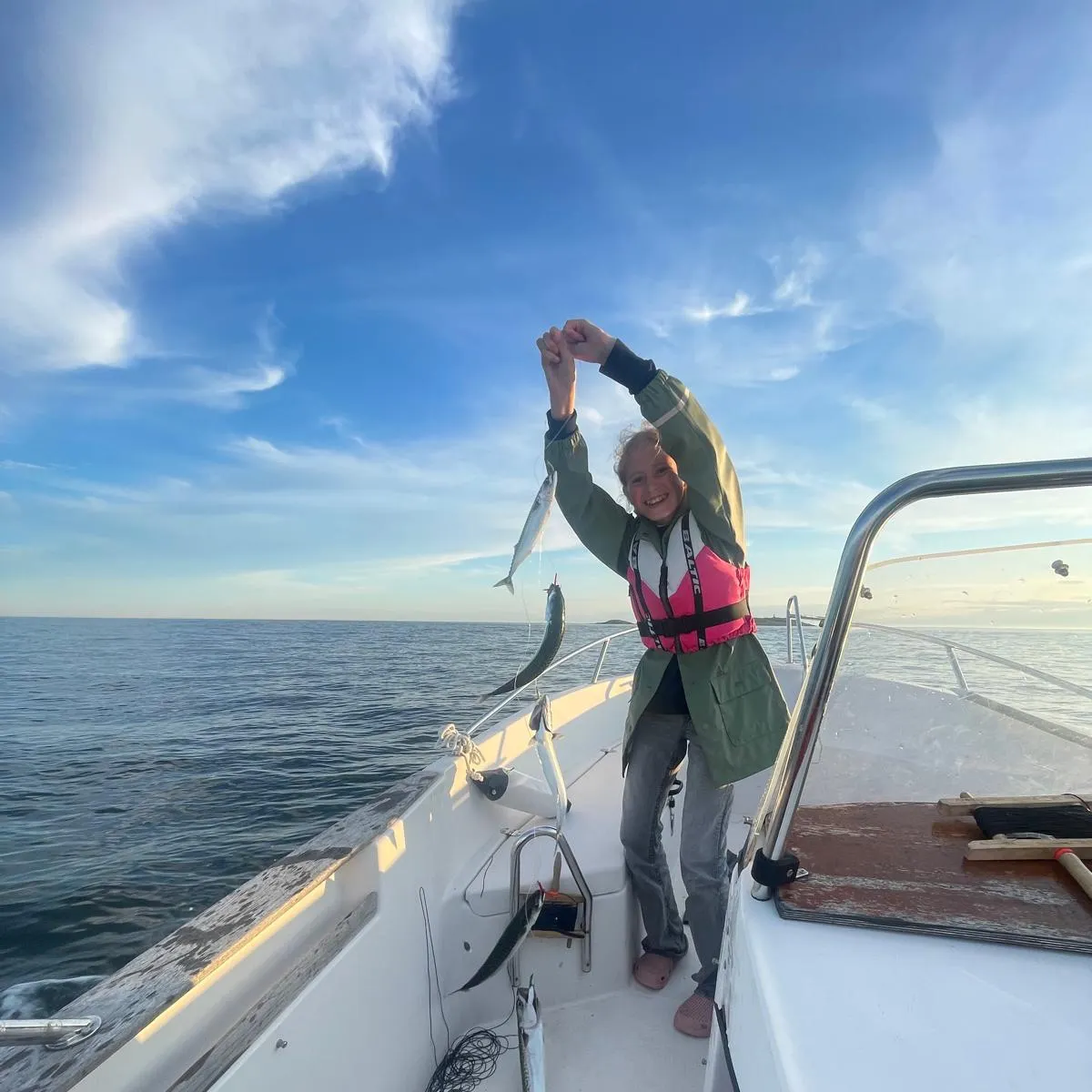 The most recent Atlantic mackerel catches on Fishbrain