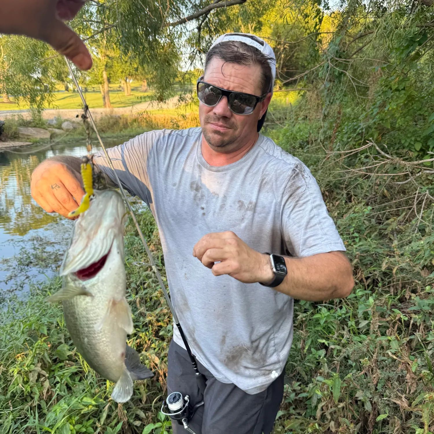 Largemouth bass caught on Fishbrain