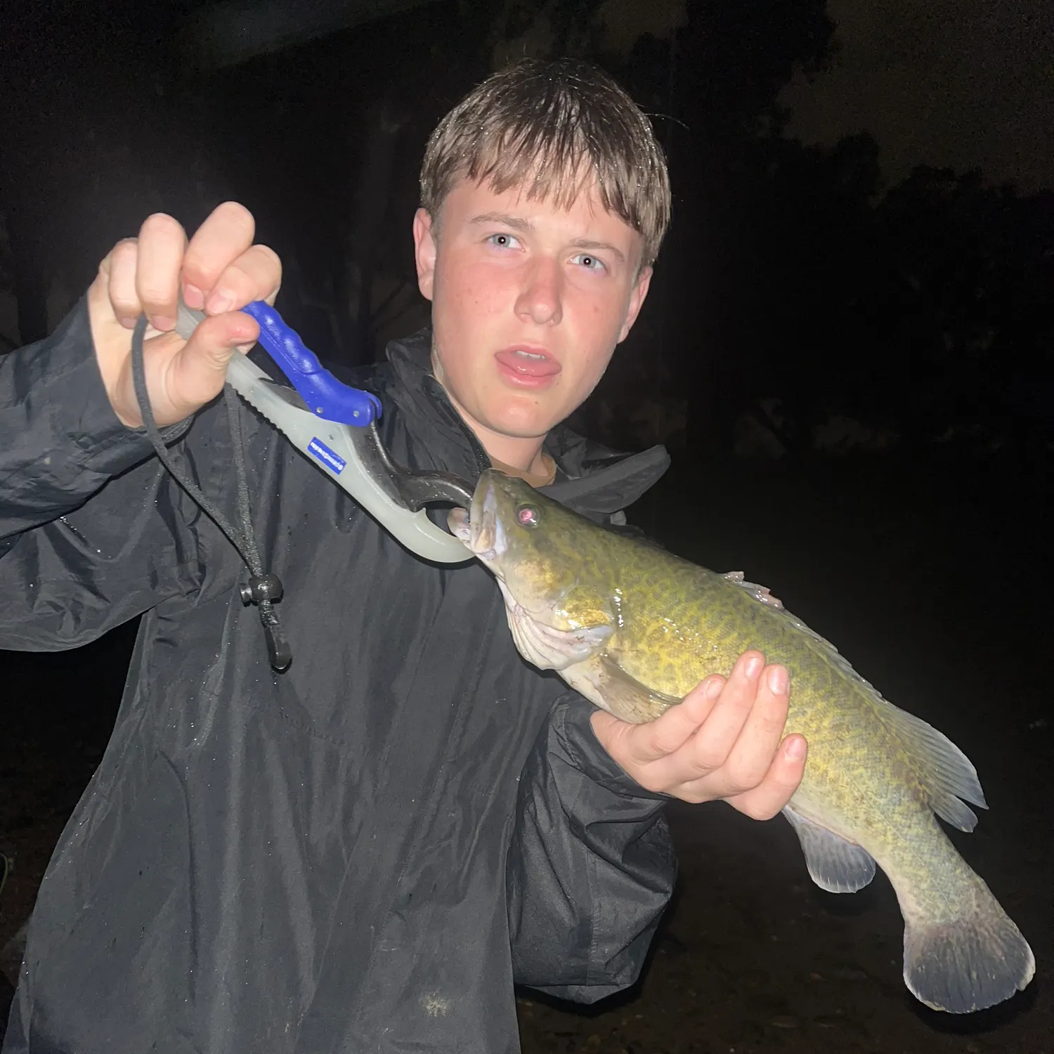 The most recent Murray cod catches on Fishbrain