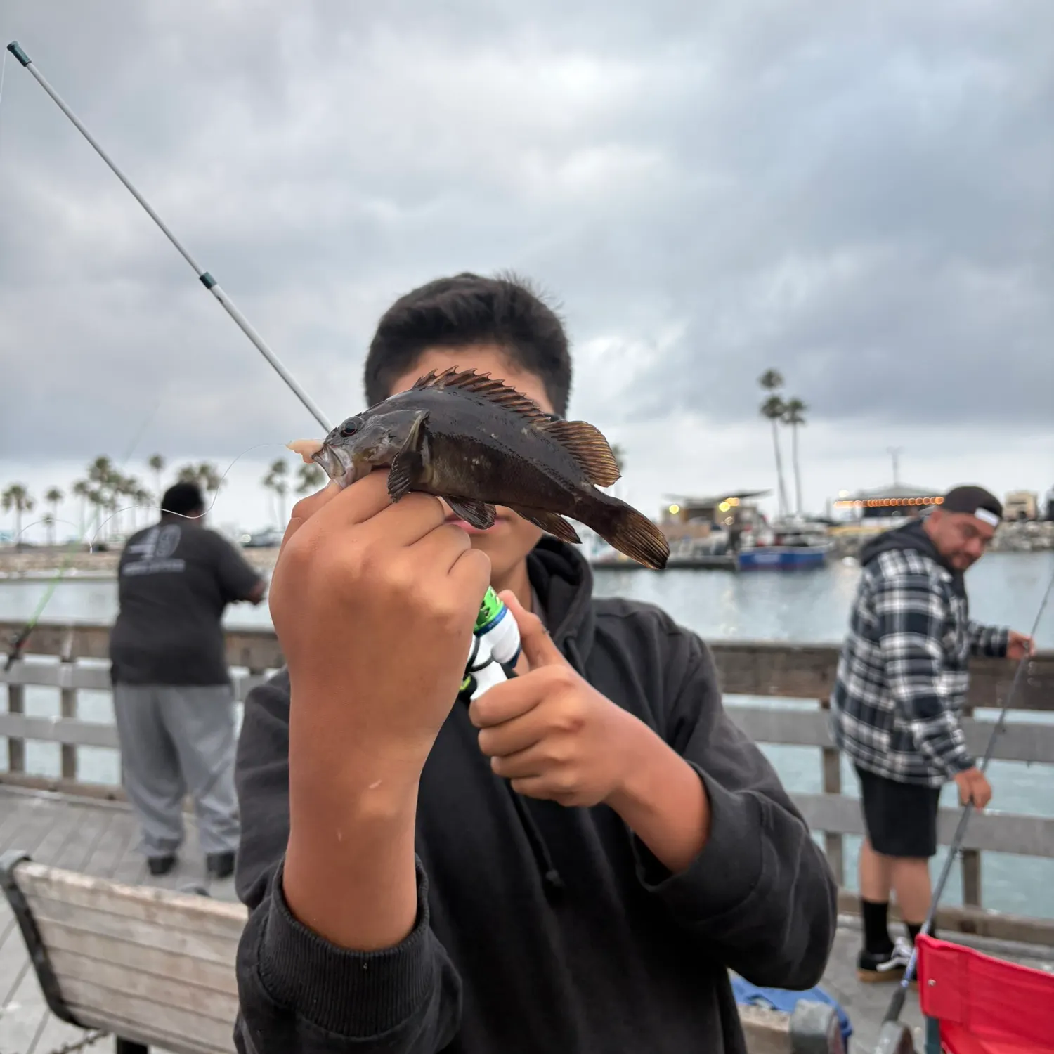 The most recent Grass rockfish catches on Fishbrain