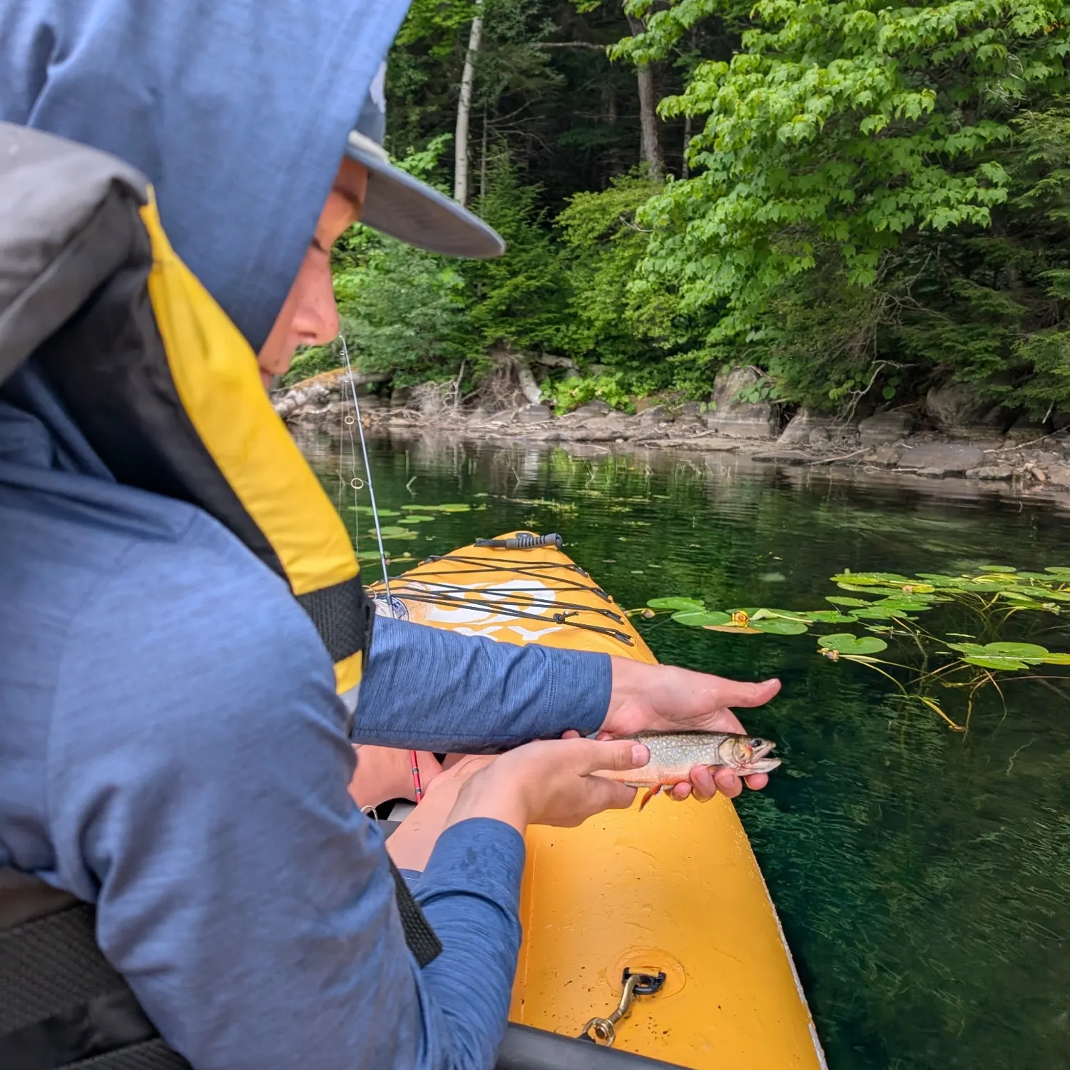 Brook trout caught on Fishbrain