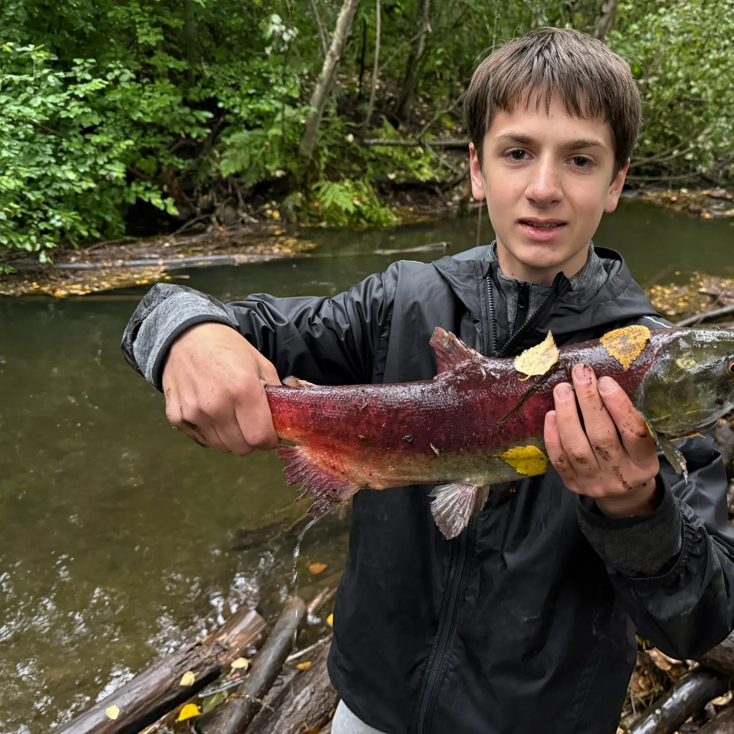 Sockeye salmon caught on Fishbrain