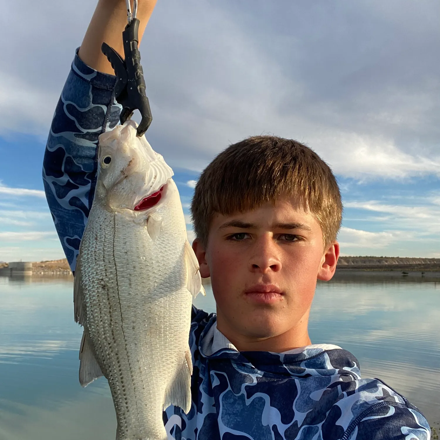 White bass caught on Fishbrain