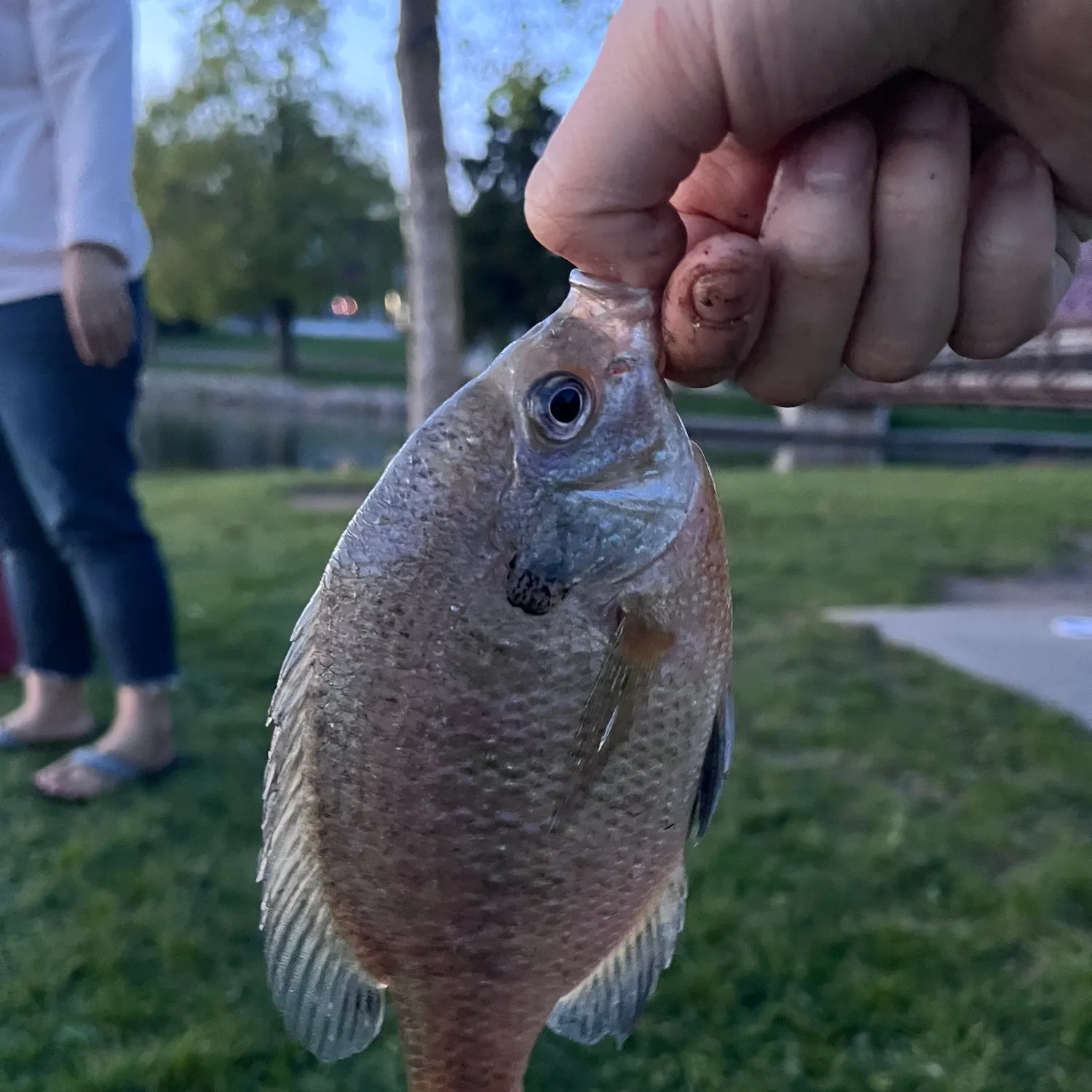 catch