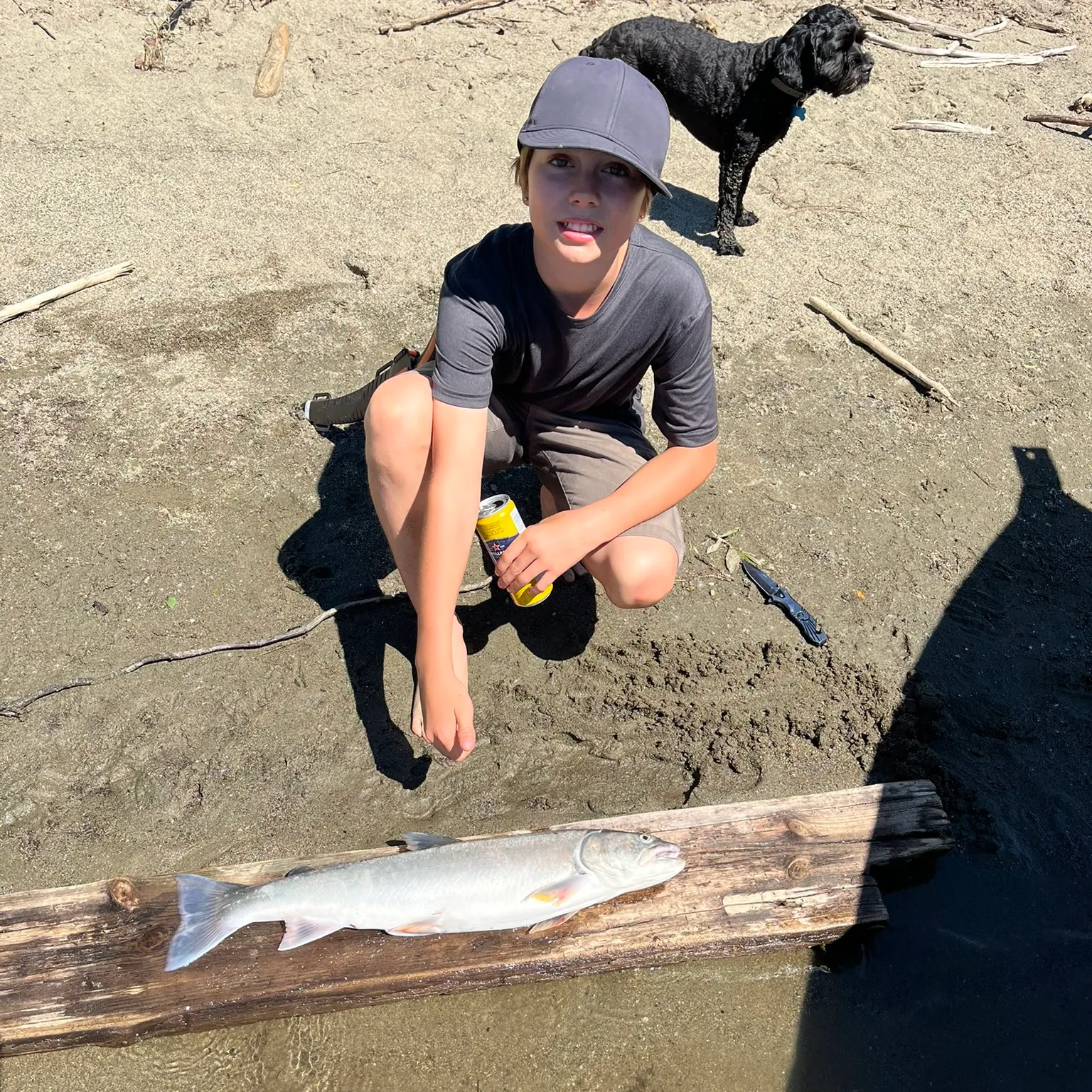 The most recent Dolly varden catches on Fishbrain