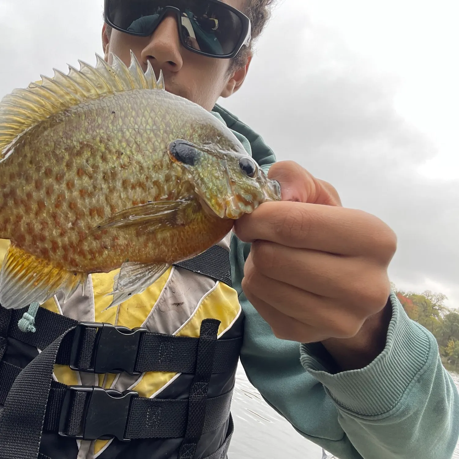 Pumpkinseed caught on Fishbrain