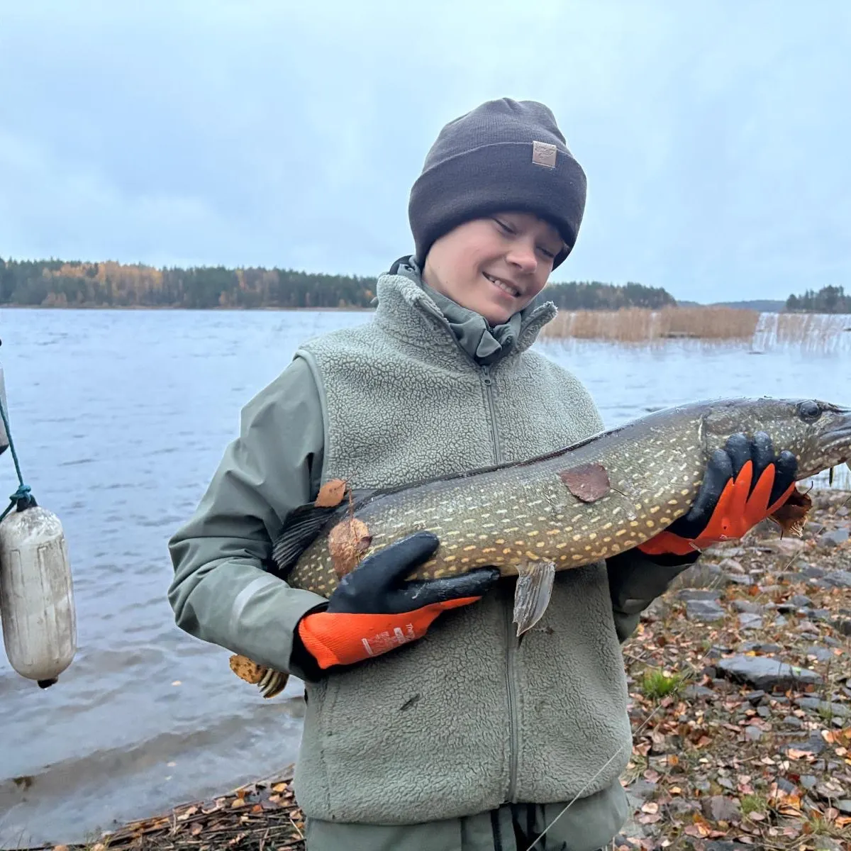 Northern pike caught on Fishbrain