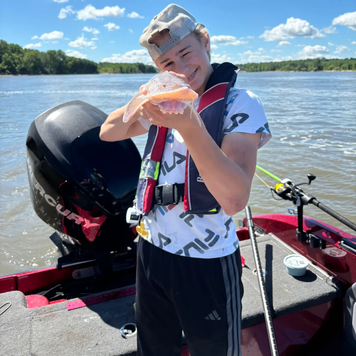 The most recent Shovelnose sturgeon catches on Fishbrain