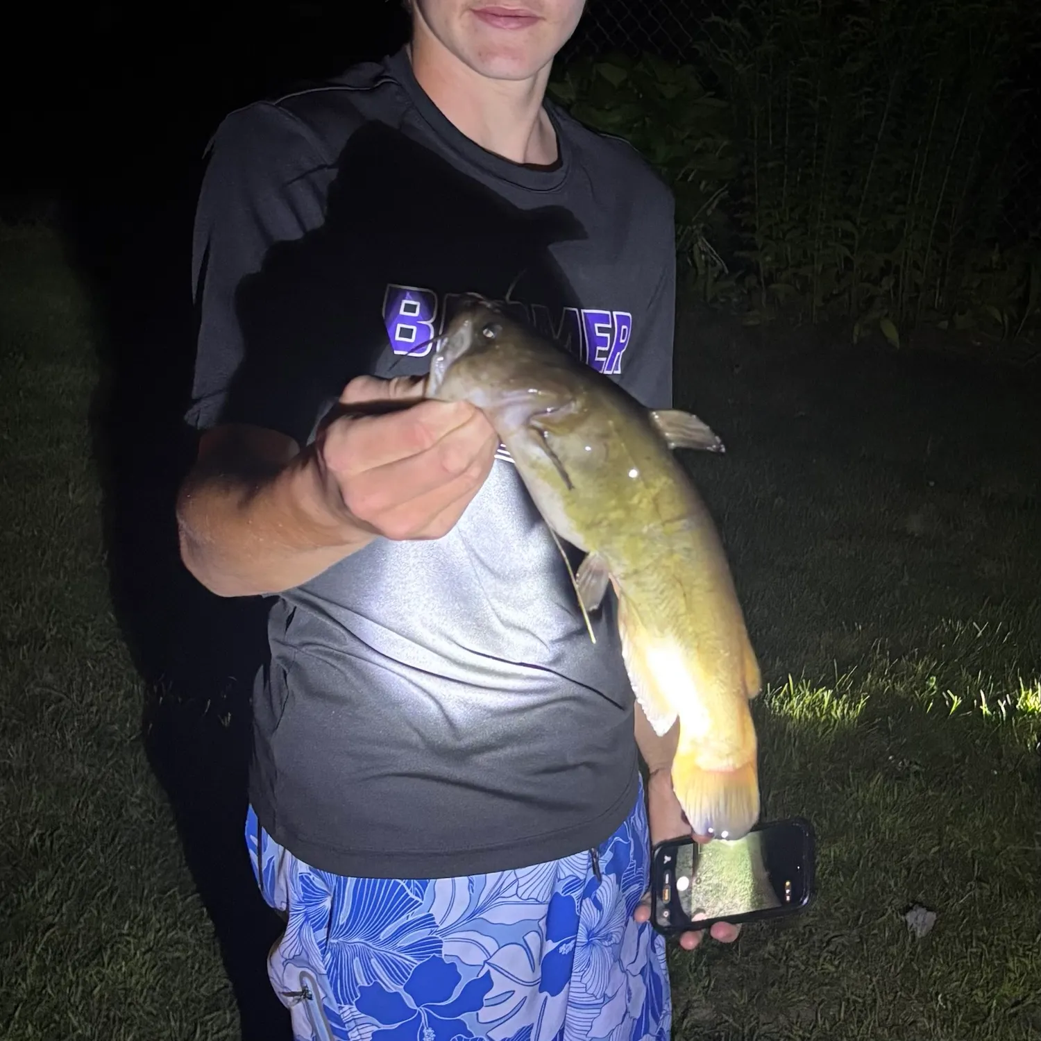 Brown bullhead caught on Fishbrain