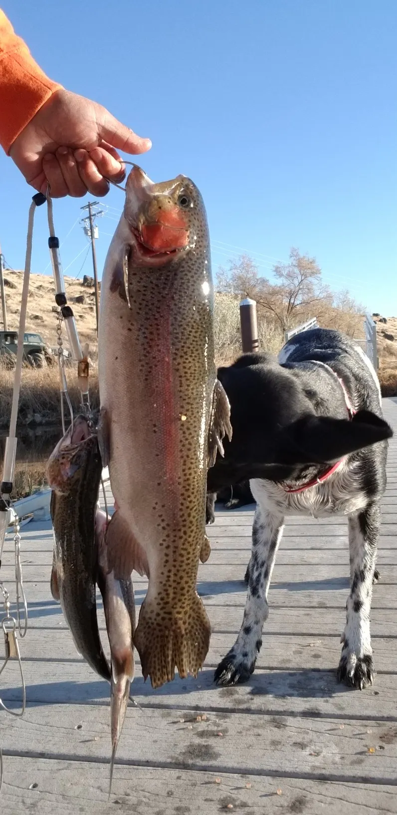 Post image from jgotjokes