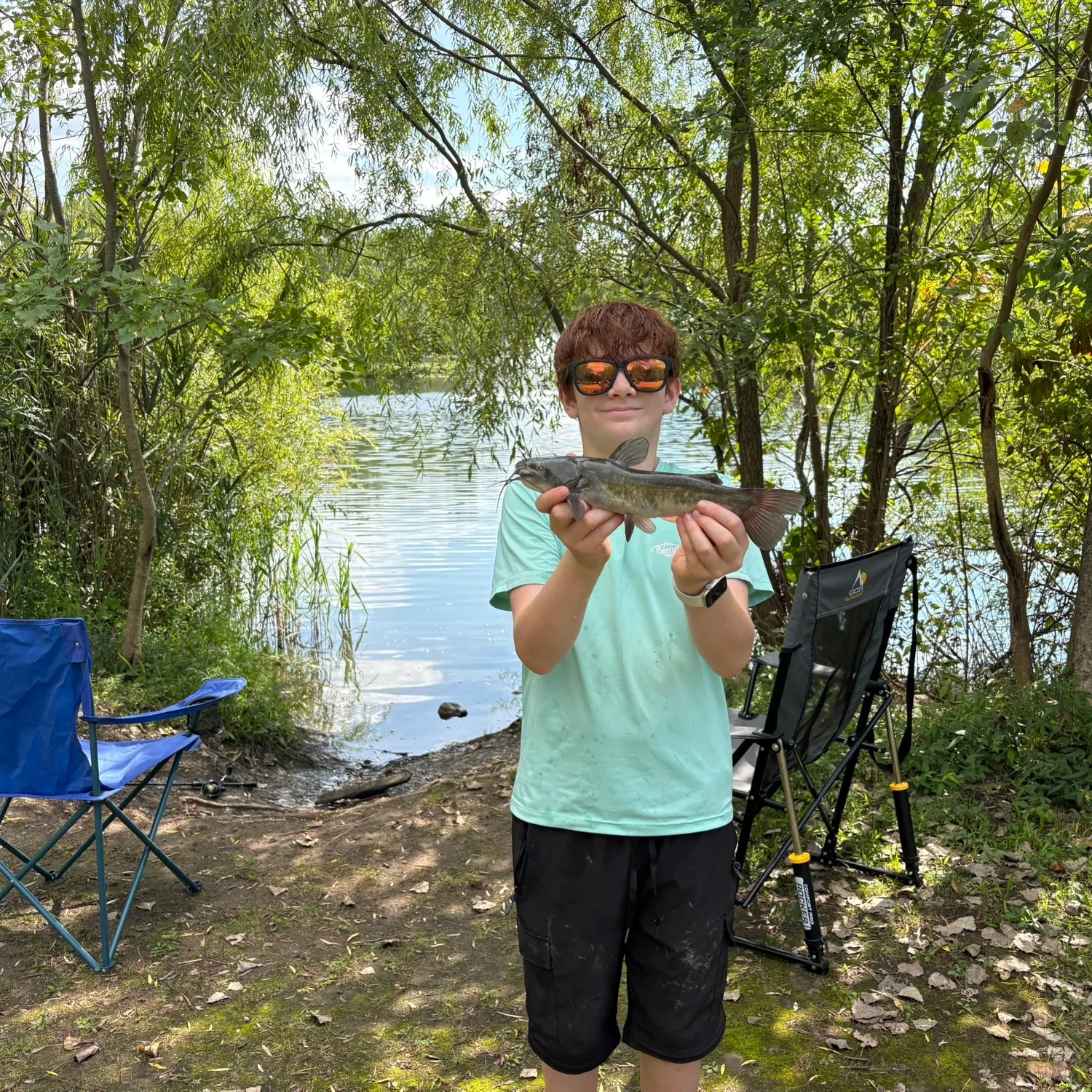 Brown bullhead caught on Fishbrain