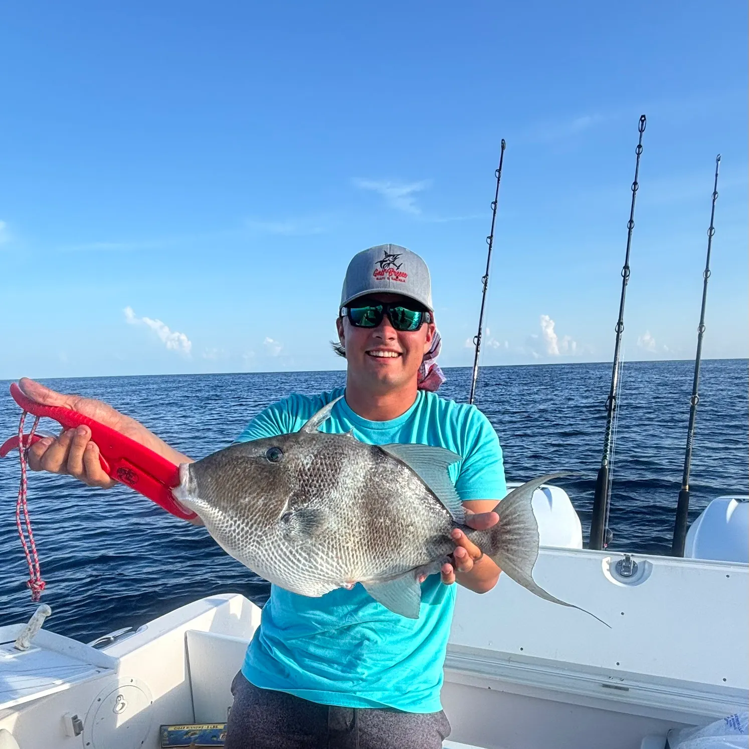 The most recent Grey triggerfish catches on Fishbrain