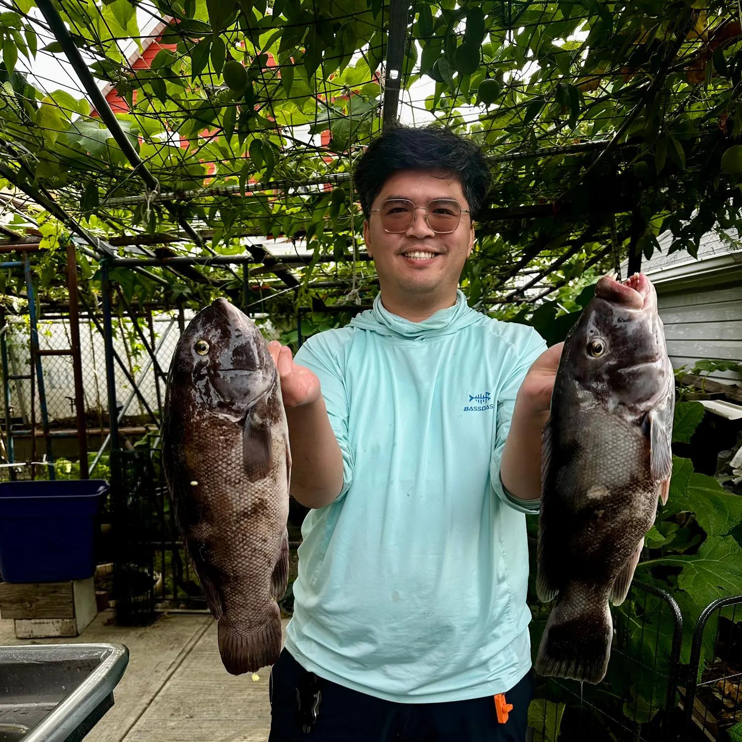 Tautog caught on Fishbrain
