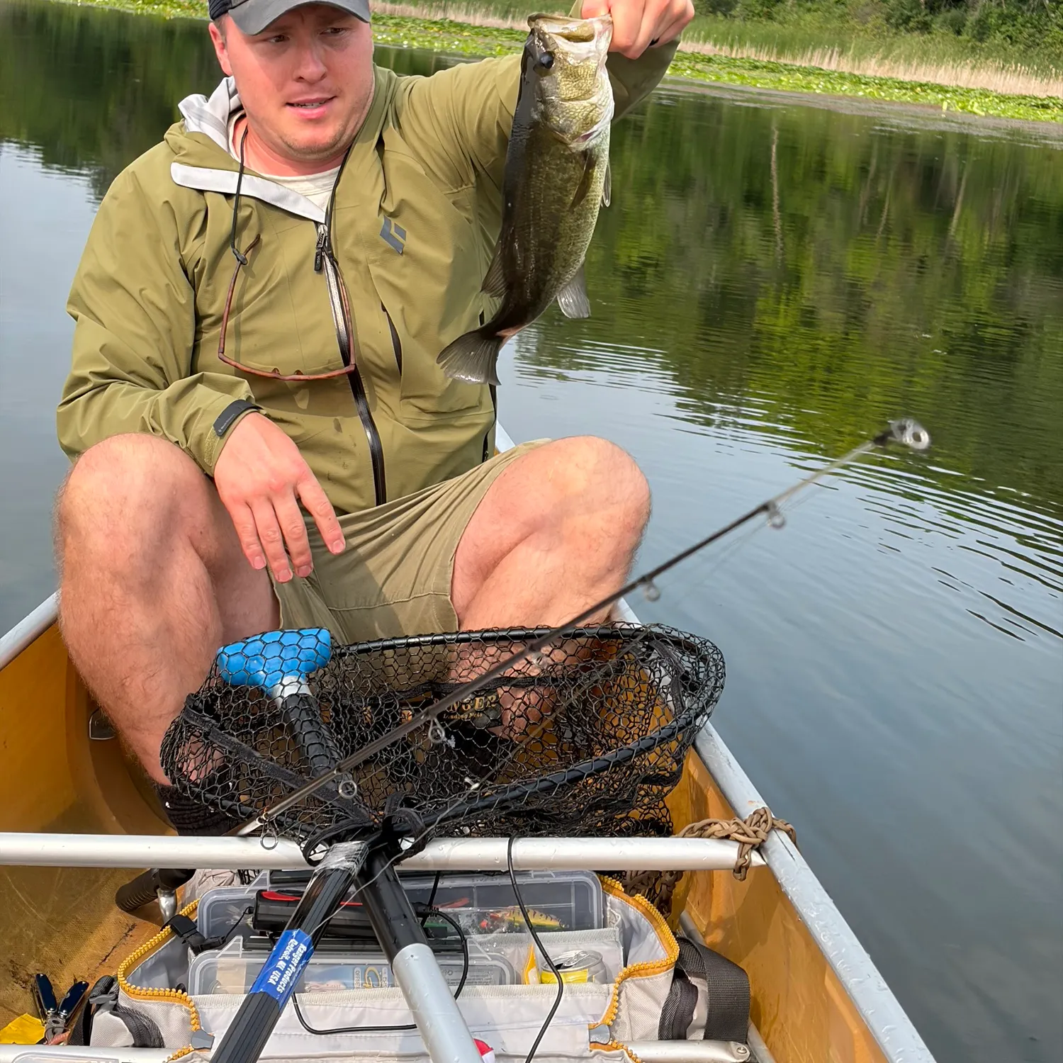 Largemouth bass caught on Fishbrain